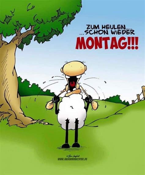 lustig montag sprüche|montag sprüche positiv.